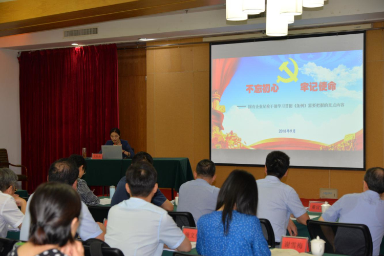 匯鴻集團(tuán)紀(jì)委舉辦紀(jì)檢監(jiān)察業(yè)務(wù)培訓(xùn)班